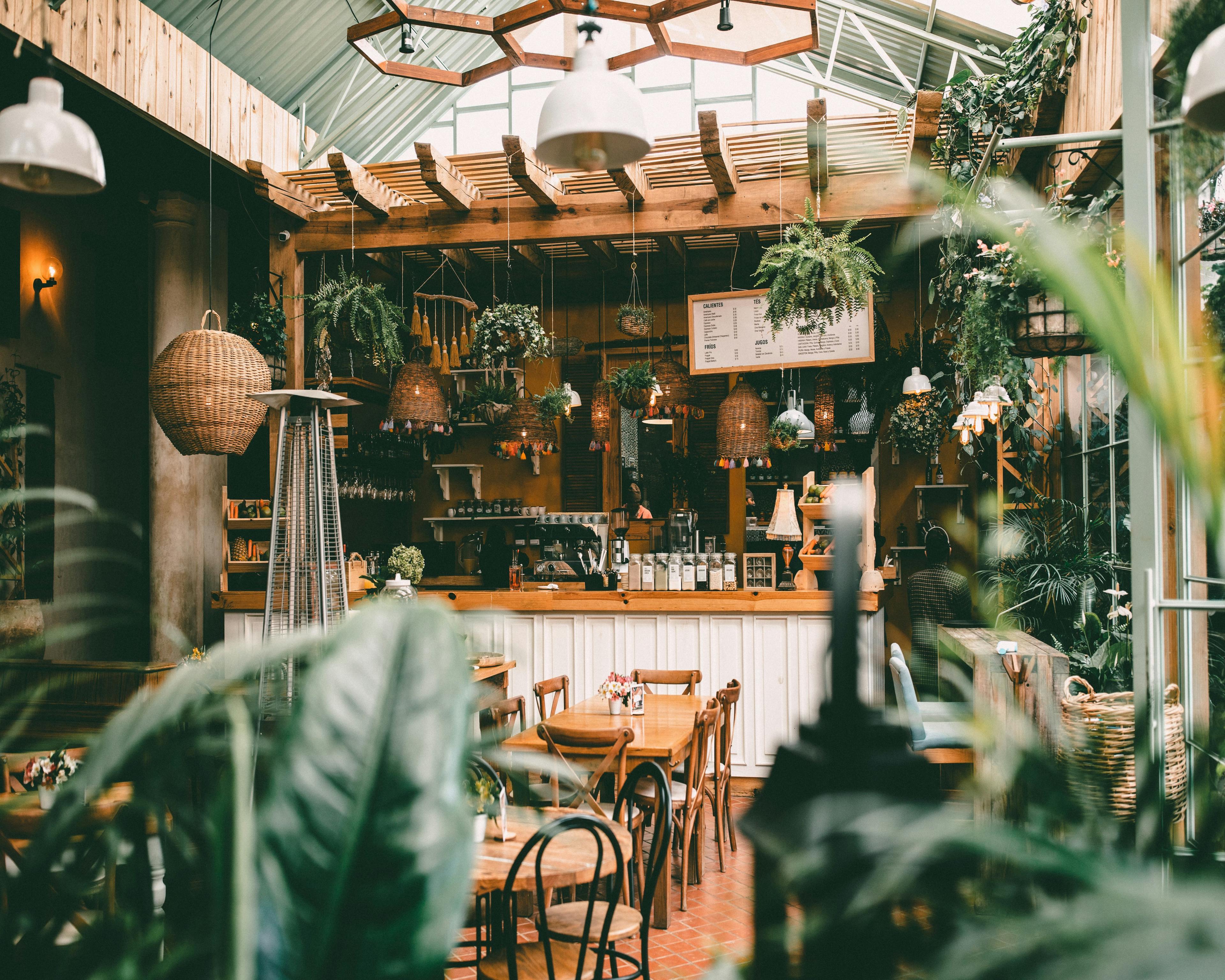 A cozy restaurant with many plants